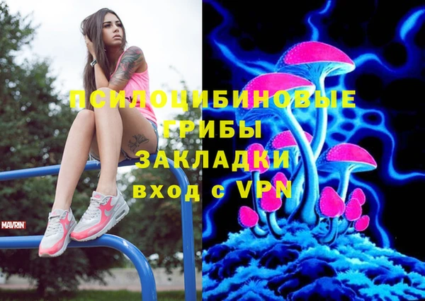 2c-b Липки