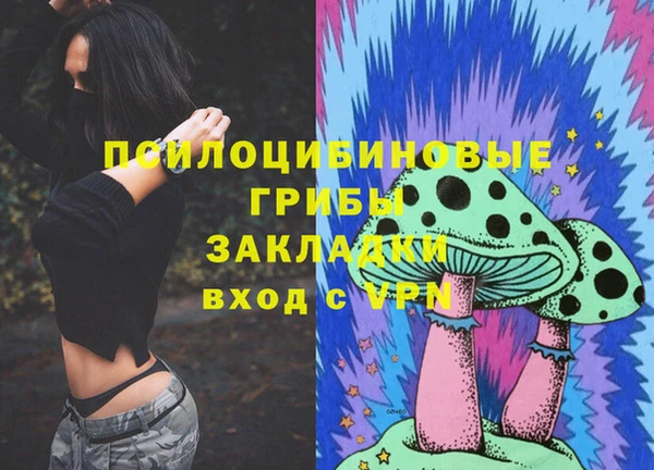 стафф Магас