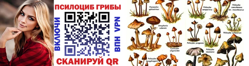 сколько стоит  Петушки  кракен tor  Галлюциногенные грибы Psilocybine cubensis 